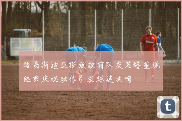 路易斯迪亚斯致敬前队友若塔重现经典庆祝动作引发球迷共鸣